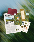 Nenailus Mail Club